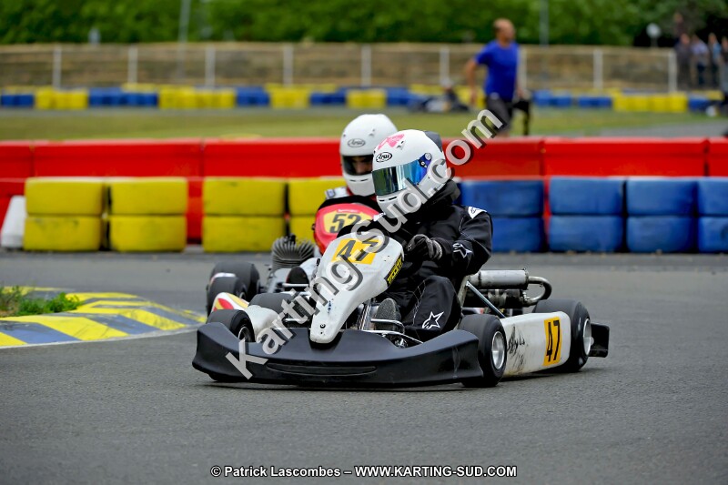 DSC_ (2377).jpg